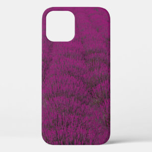 Pink petaled flower field iPhone 12 case