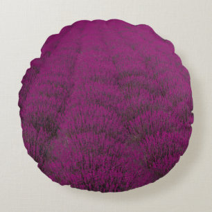 Pink petaled flower field round cushion