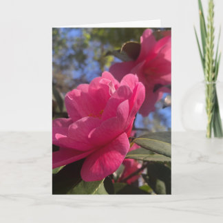 Pink Petals 1 - Folded Greeting Card