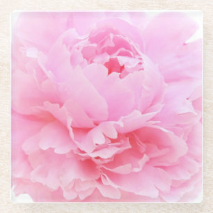 pink petals glass coaster