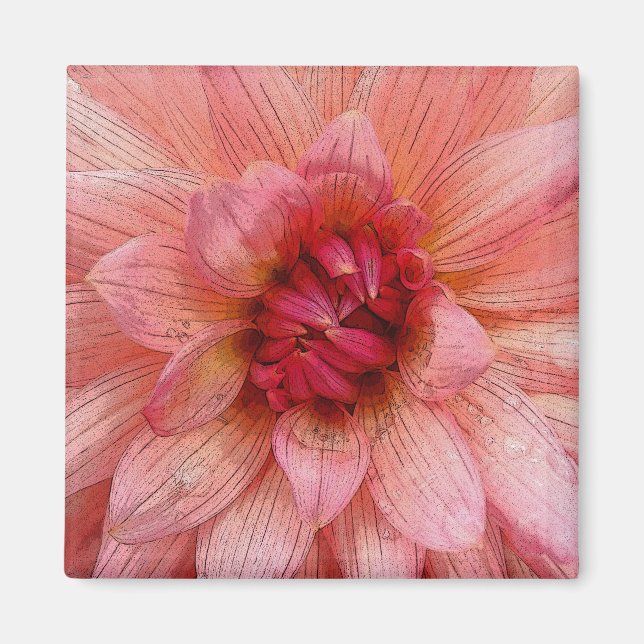 pink petals magnet (Front)