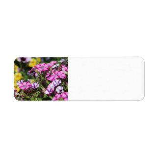 Pink petunia address label