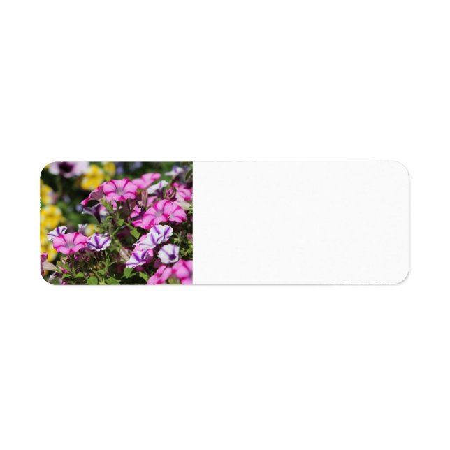 Pink petunia address label (Front)