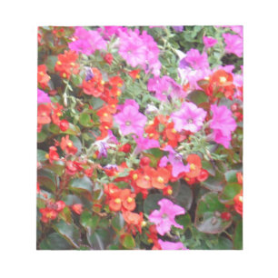 Pink petunia and red geraniums notepad