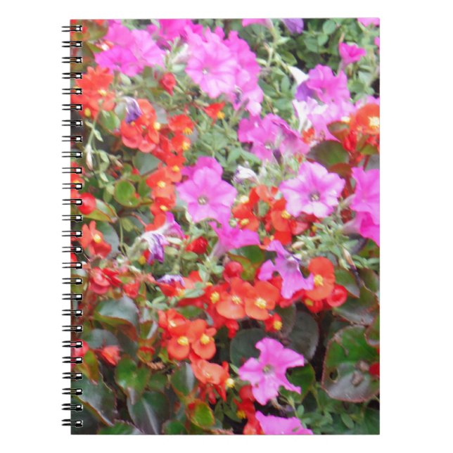 Pink petunia and red geraniums spiral notebook (Front)