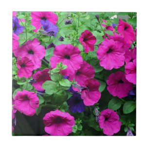 Pink petunia beauty tile