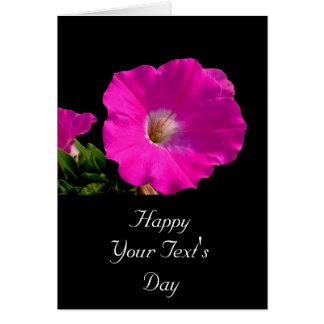 pink petunia flower