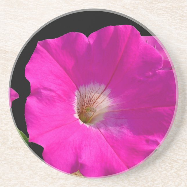 pink petunia flower coaster (Front)