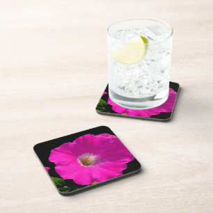 pink petunia flower coaster