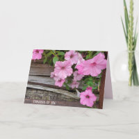Pink Petunia Thinking of You