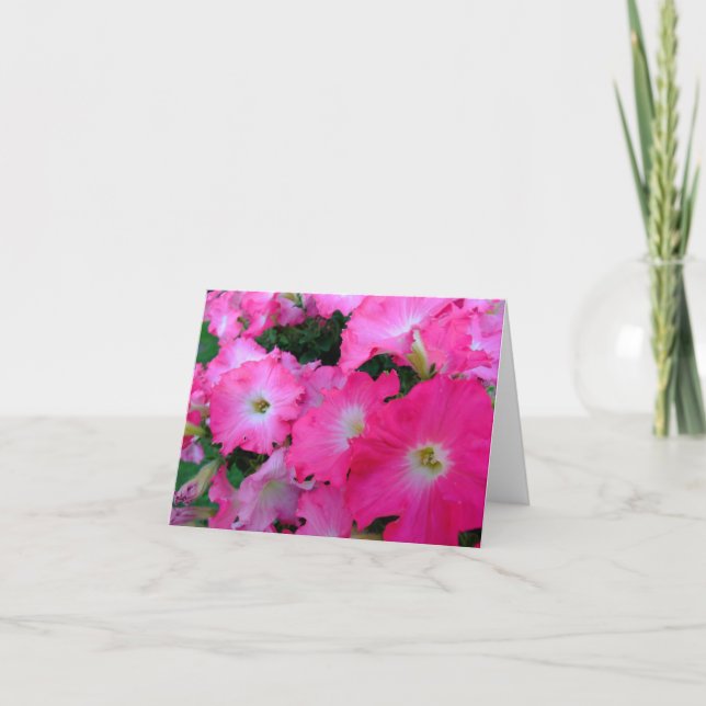 Pink petunias card (Front)