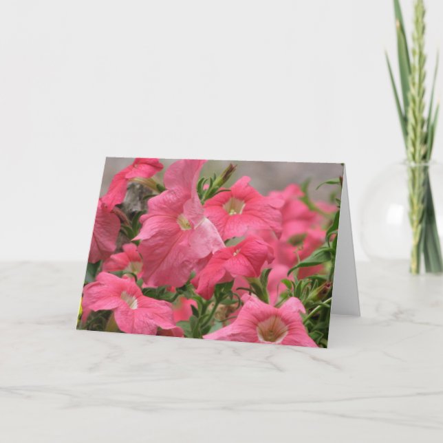 Pink Petunias Card (Front)