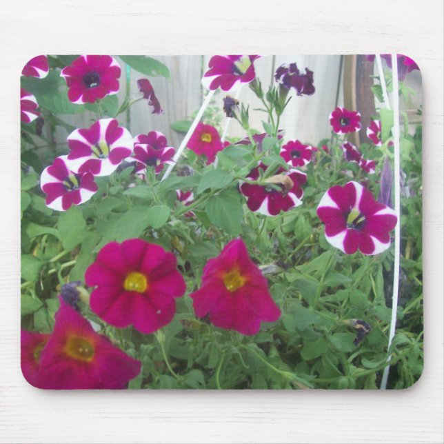 Pink Petunias Mouse Pad (Front)