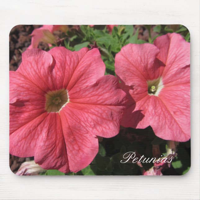 Pink  Petunias Mouse Pad (Front)
