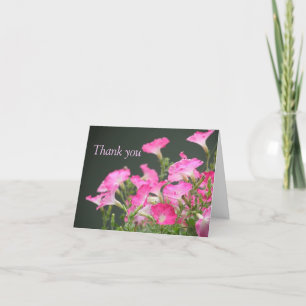pink petunias thank you note card