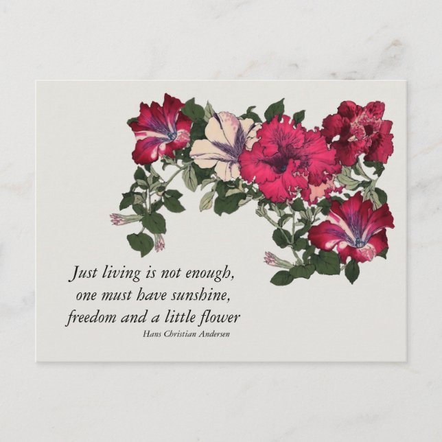 Pink Petunias with Hans C Andersen quote Postcard (Front)