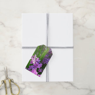 Pink Phlox and Grass Summer Floral Gift Tags