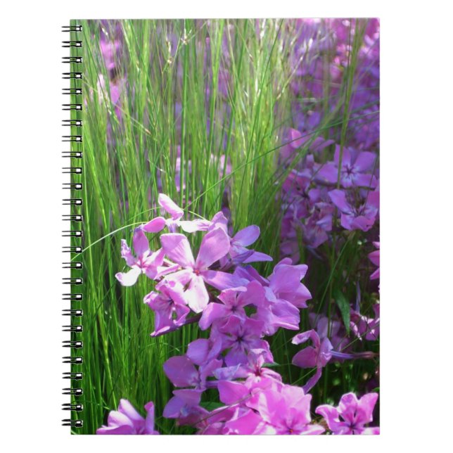 Pink Phlox and Grass Summer Floral Notebook (Front)