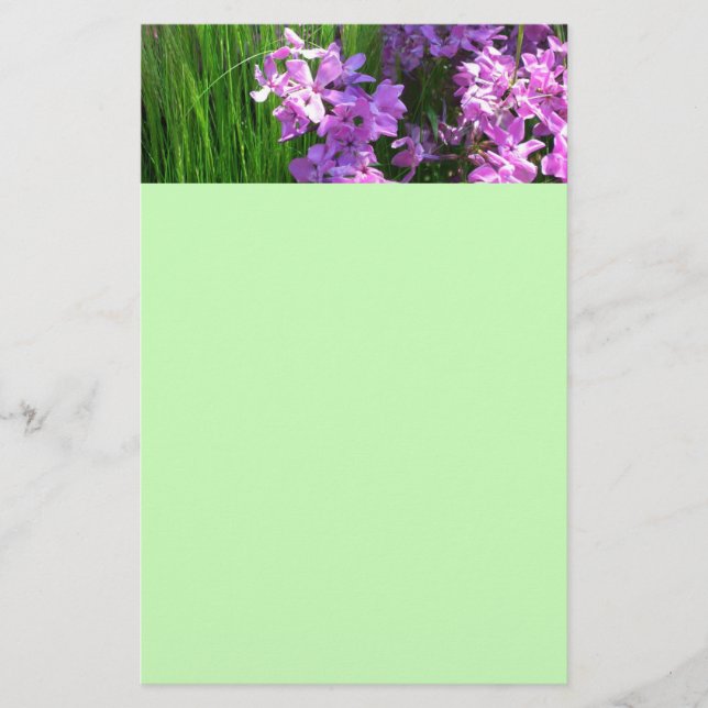 Pink Phlox and Grass Summer Floral Stationery (Front)