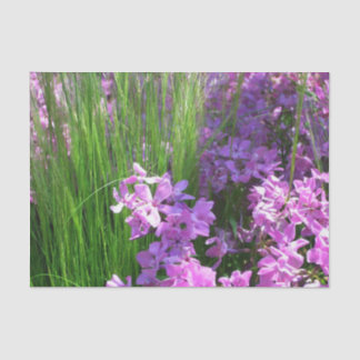 Pink Phlox and Grass Summer Floral Tissue Paper