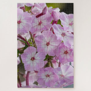Pink Phlox, Canadian Wonder Jigsaw Puzzle