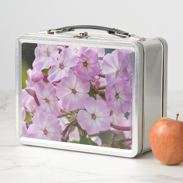 Pink Phlox Flower, Canadian Photography Metal Lunch Box (In Situ)
