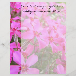 Pink Phlox Flowers Letterhead