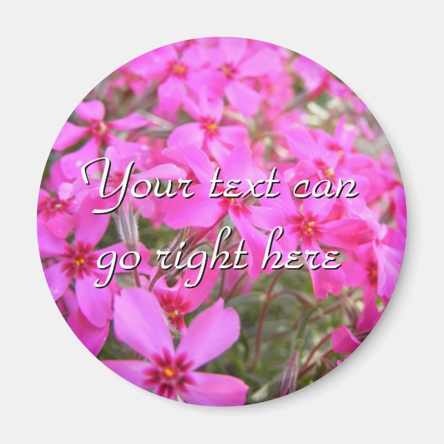 Pink Phlox Flowers Magnet (Front)