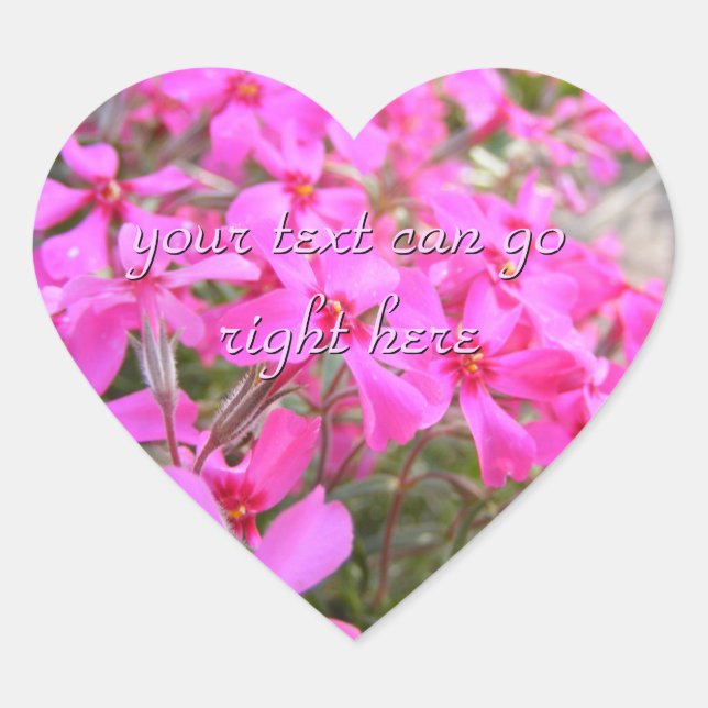 Pink Phlox Flowers Stickers (Front)