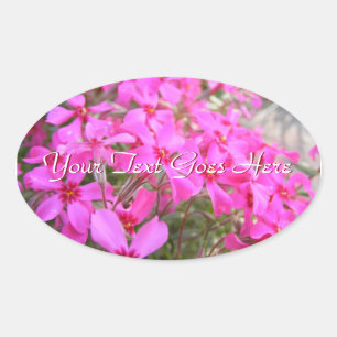 Pink Phlox Flowers Stickers