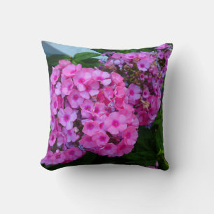 Pink Phlox Pillow