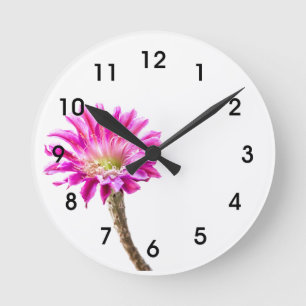 Pink Piazza cactus flower in bloom Round Clock
