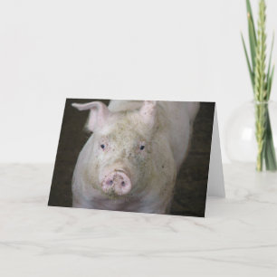 Pink Pig All Occasions Card