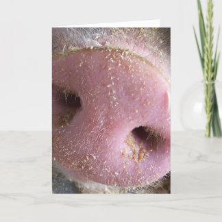 Pink Pig nose close up photograph Card