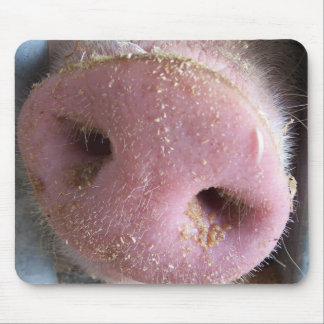 Pink Pig nose close up photograph Mouse Pad