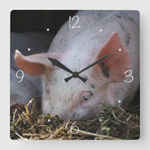 Pink pig photo square wall clock