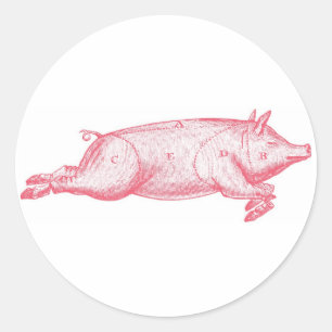 Pink Pig Sticker