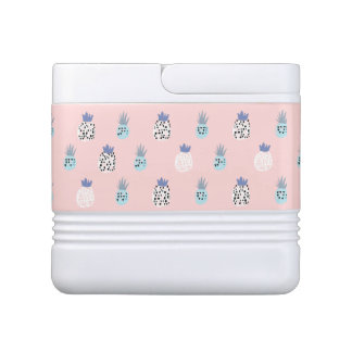 Pink Pineapple Can Cooler Chilly Bin