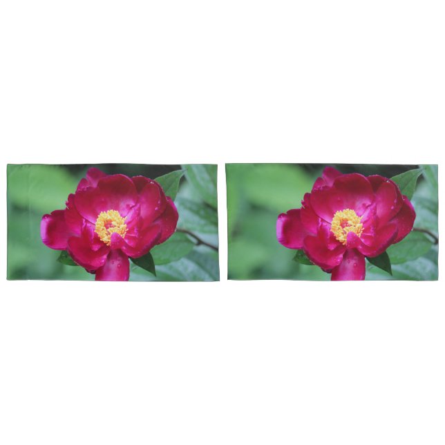 Pink Pinks Pillowcase (Back-Set)