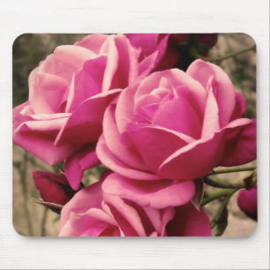 Pink Pirouette Roses Mouse Pad