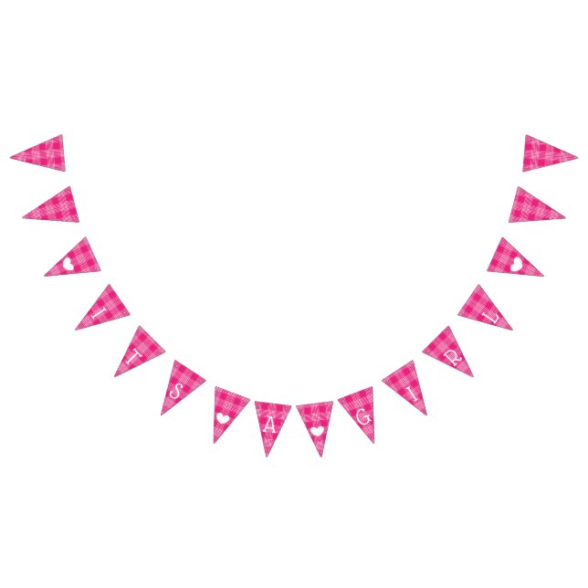 Pink Plaid Its a Girl Baby Shower Bunting (All)
