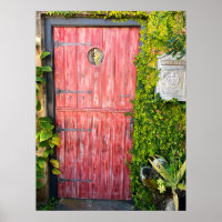 Pink Plants Wood Door St Augustine Florida Photo