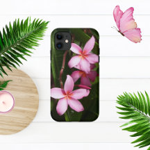 Pink Plumeria Flowers