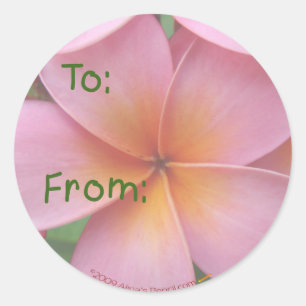 Pink Plumeria Gift Tag Stickers