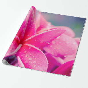 Pink Plumeria Matte Wrapping Paper