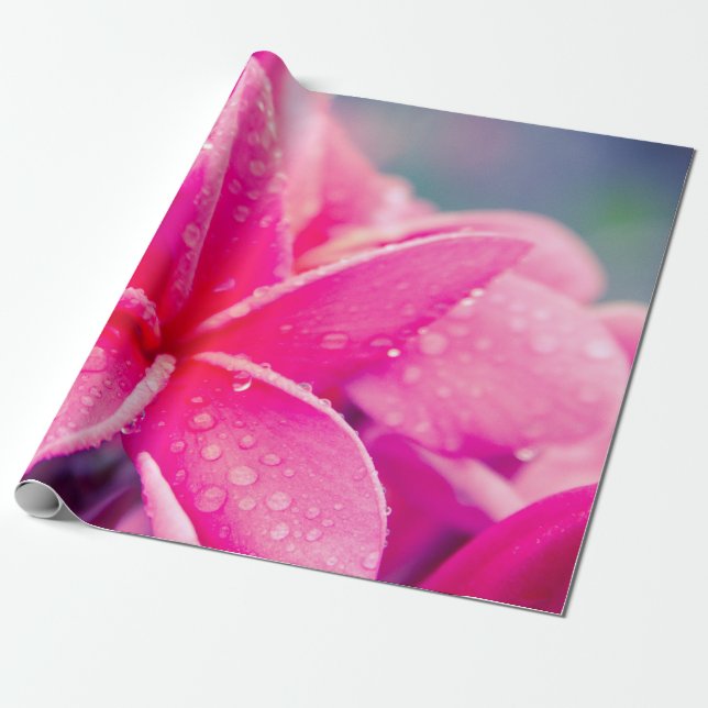 Pink Plumeria Matte Wrapping Paper (Unrolled)
