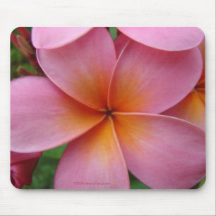 Pink Plumeria Mousepad