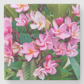 Pink Plumeria Stone Coaster