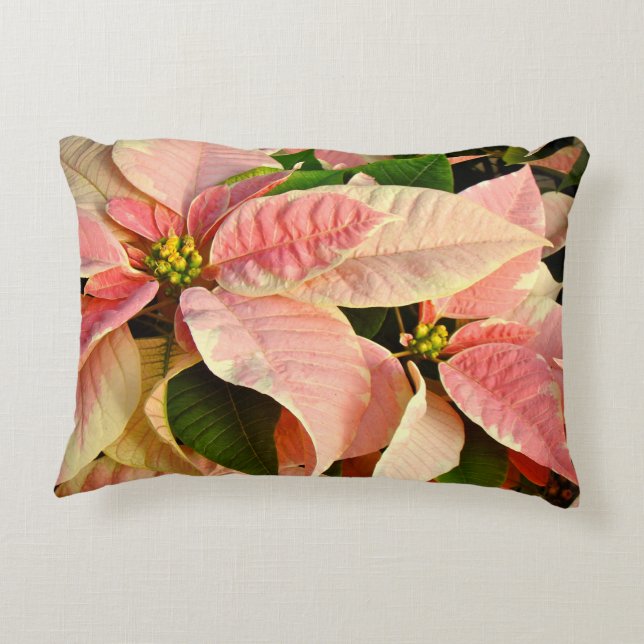Pink Poinsettia Decorative Cushion (Back)