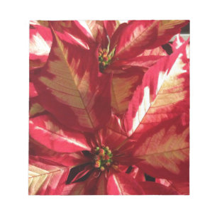 Pink Poinsettia Notepad
